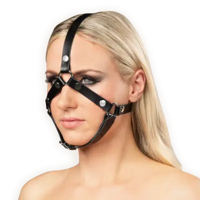 Leather Head Harness with Studs