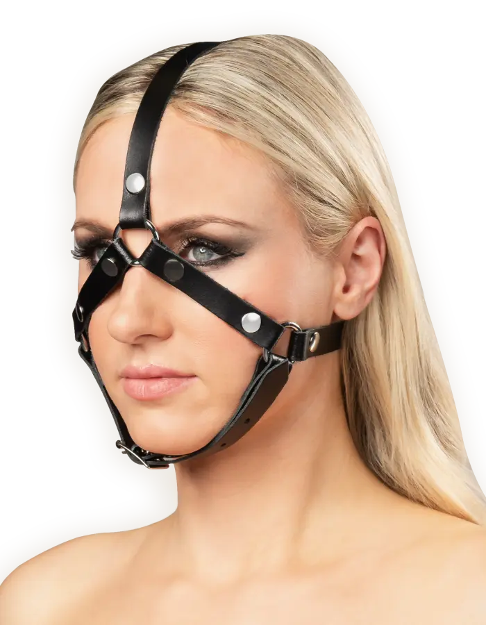 Leather Head Harness with Studs