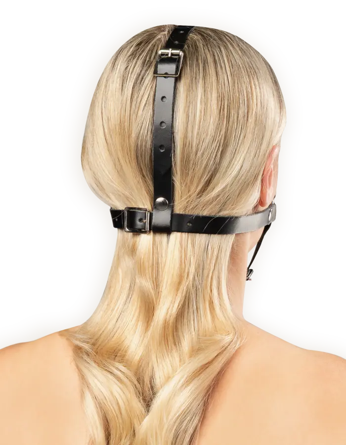 Leather Head Harness with Studs
