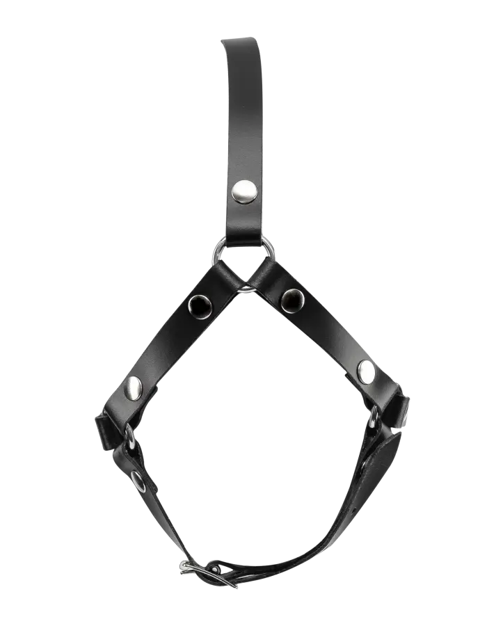 Leather Head Harness with Studs