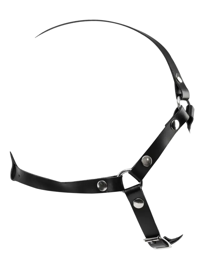 Leather Head Harness with Studs