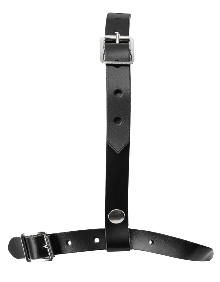 Leather Head Harness with Studs