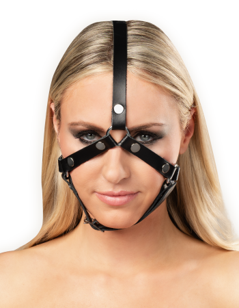 Leather Head Harness with Studs