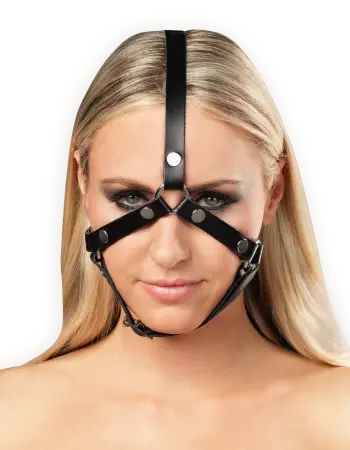 Leather Head Harness with Studs