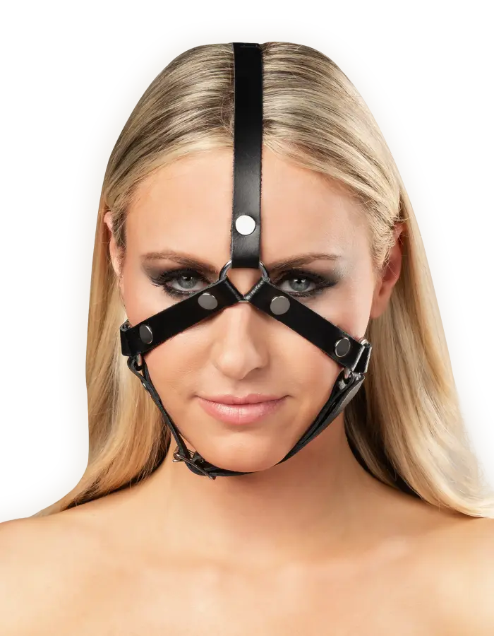 Leather Head Harness with Studs
