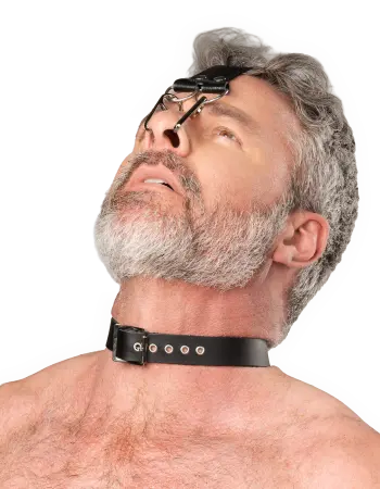 Leather Head Harness with Nose Hooks