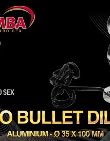 Aluminum Electro Sex Bulb Dildo