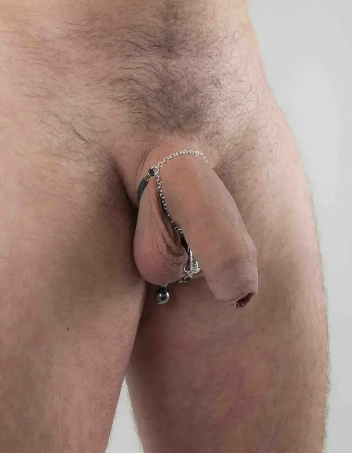 Atum-Ra - Silver Cobra Penis Jewelry