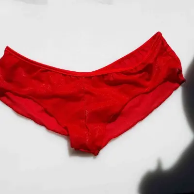 Beauty or Brains? - Sheer Booty Shorts Panty
