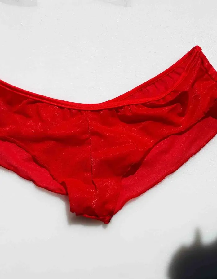 Beauty or Brains? - Sheer Booty Shorts Panty
