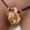 Beneath the Southern Cross - Vaginal Flower Bloom Penetrating G-String in Gold