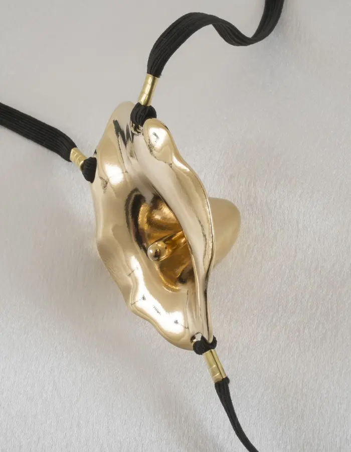 Beneath the Southern Cross - Vaginal Flower Bloom Penetrating G-String in Gold