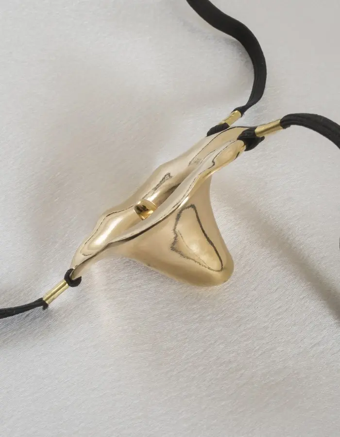 Beneath the Southern Cross - Vaginal Flower Bloom Penetrating G-String in Gold