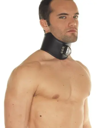 Deluxe 4 Inch Tall Posture Collar