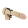 Deluxe Cock and Ball Divider With Metal Rings