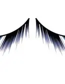 Deluxe Eyelashes