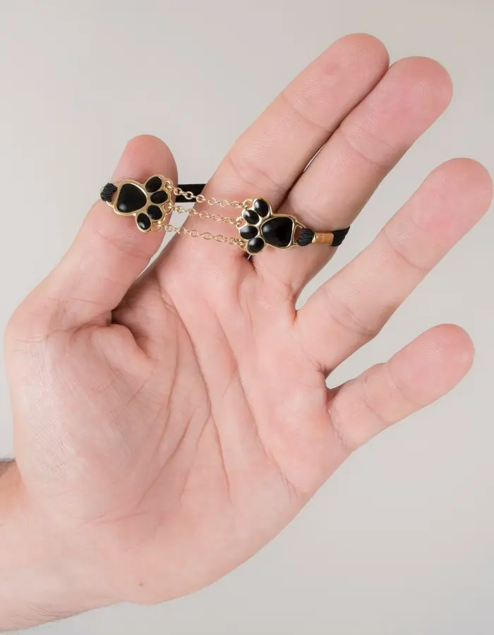 Devon Rex - Gold Cat Paws Penis Band