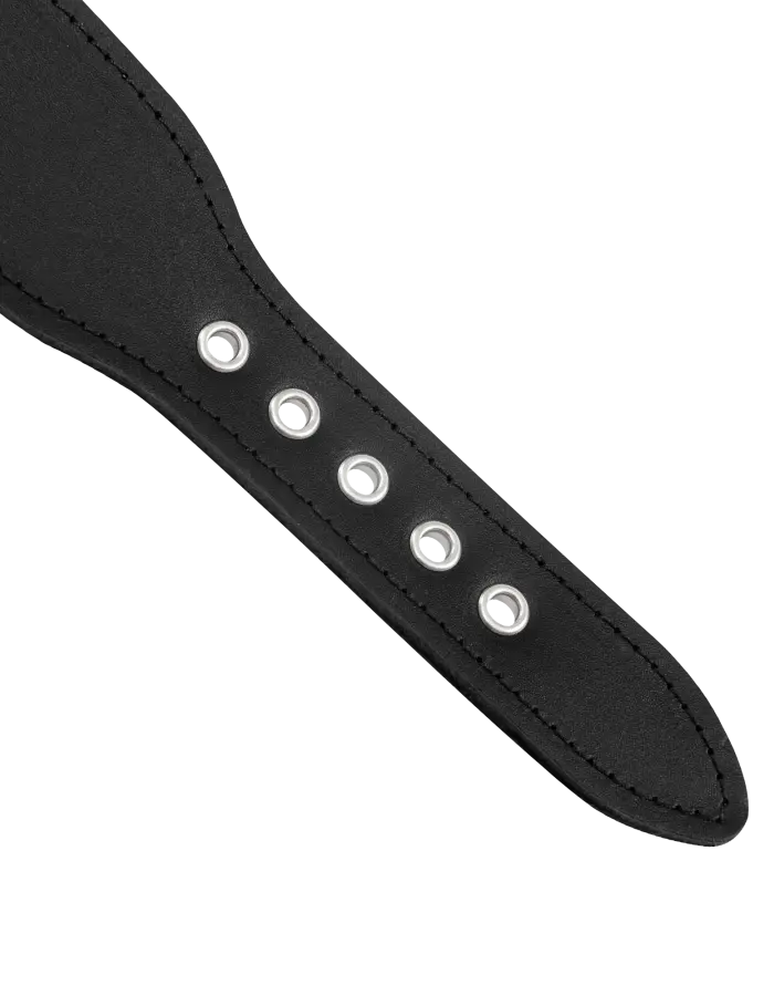 Electro Sex Leather Bipolar Shock Collar