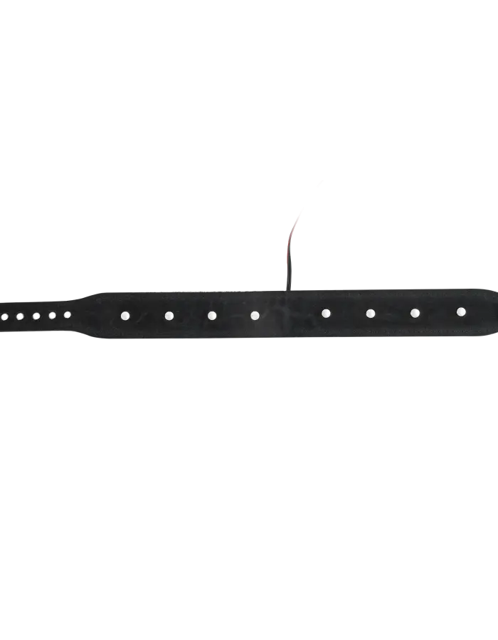 Electro Sex Leather Bipolar Shock Collar