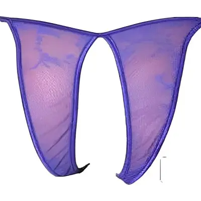 Garden Party - Sheer Crotchless Panty