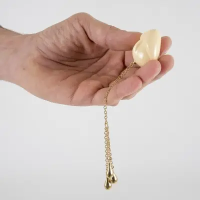 Golden Acorn - Insertable Glans Charm with Gold Pendants for Him