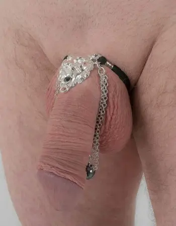 Hear Me Roar - Silver Lion Head Penis Chain Bracelet with Hematite Gem