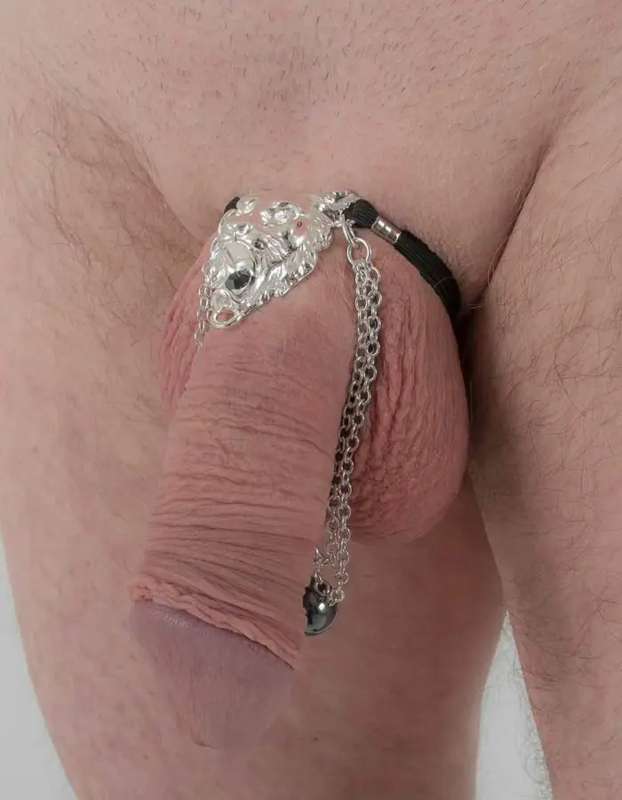 Hear Me Roar - Silver Lion Head Penis Chain Bracelet with Hematite Gem