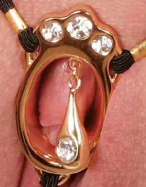 Jingwei - Gold Teardrop Clit Jewelry
