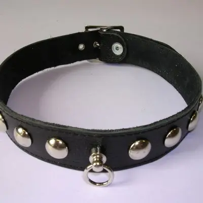 Leather 1 Inch (2 1/2 cm) Collar With Dome Studs