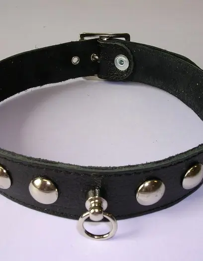 Leather 1 Inch (2 1/2 cm) Collar With Dome Studs
