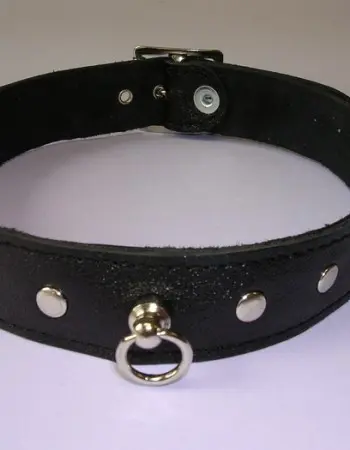 Leather 1 Inch (2 1/2 cm) Collar With Rivets