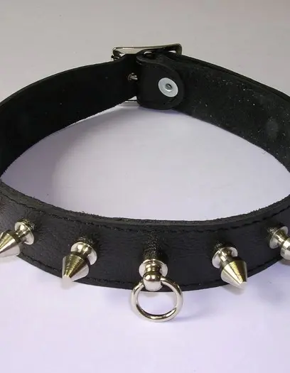Leather 1 inch (2 1/2 cm) Collar With Spikes