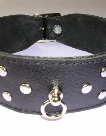 Leather 1.5 inch (4 cm) Wide Collar With Rivets