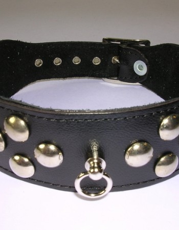 Leather 1.5 inch (4 cm) Wide Collar With Dome Studs