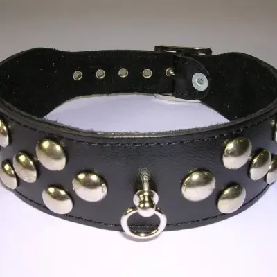Leather 1.5 inch (4 cm) Wide Collar With Dome Studs
