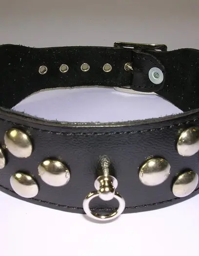 Leather 1.5 inch (4 cm) Wide Collar With Dome Studs