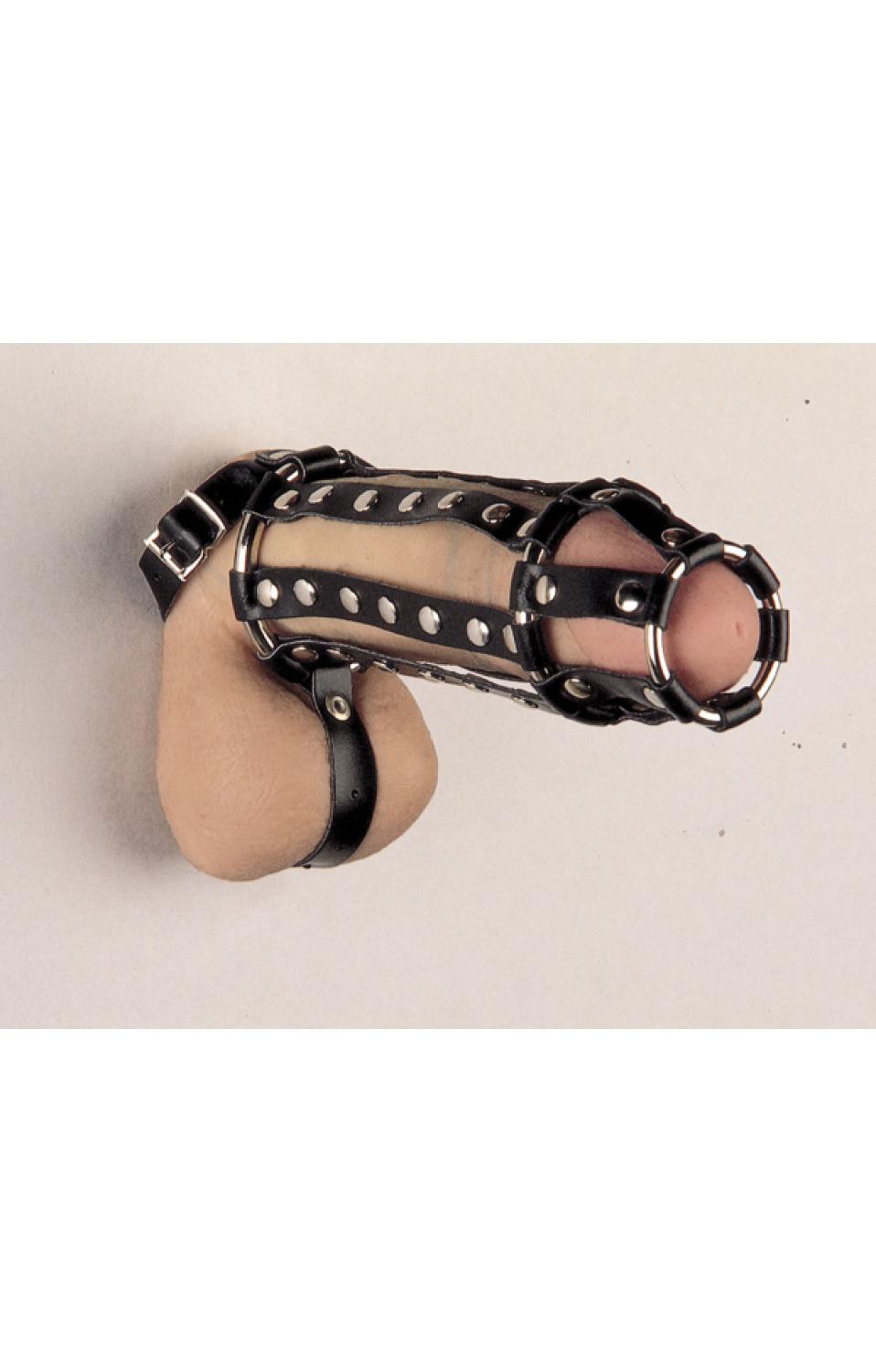 Leather Cock and Balls Cage With Ball Divider and Spikes Inside - 7463