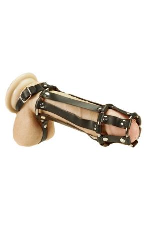 Leather Cock and Balls Cage With Ball Divider