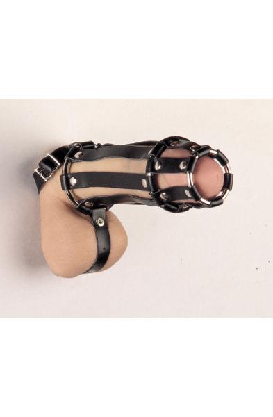 Leather Cock and Balls Cage With Ball Divider