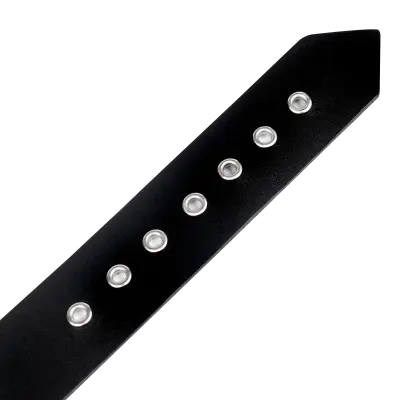 Leather Collar with Buckle