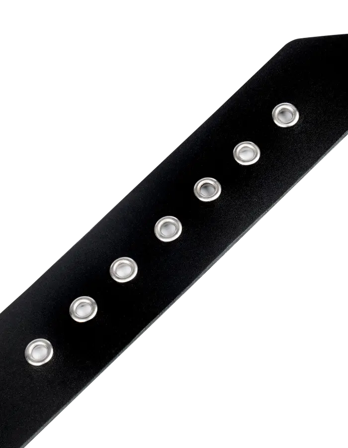 Leather Collar with Buckle