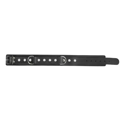 Leather Collar with Double D-Ring