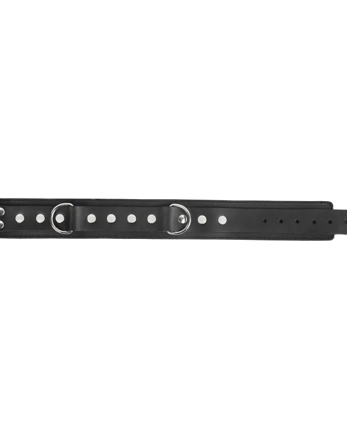 Leather Collar with Double D-Ring