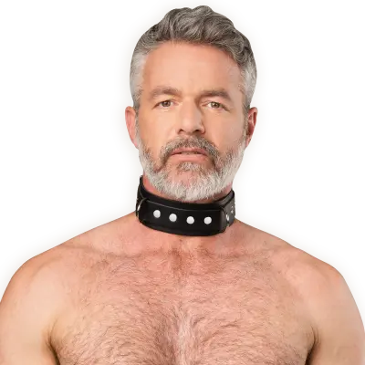 Leather Collar with Double D-Ring