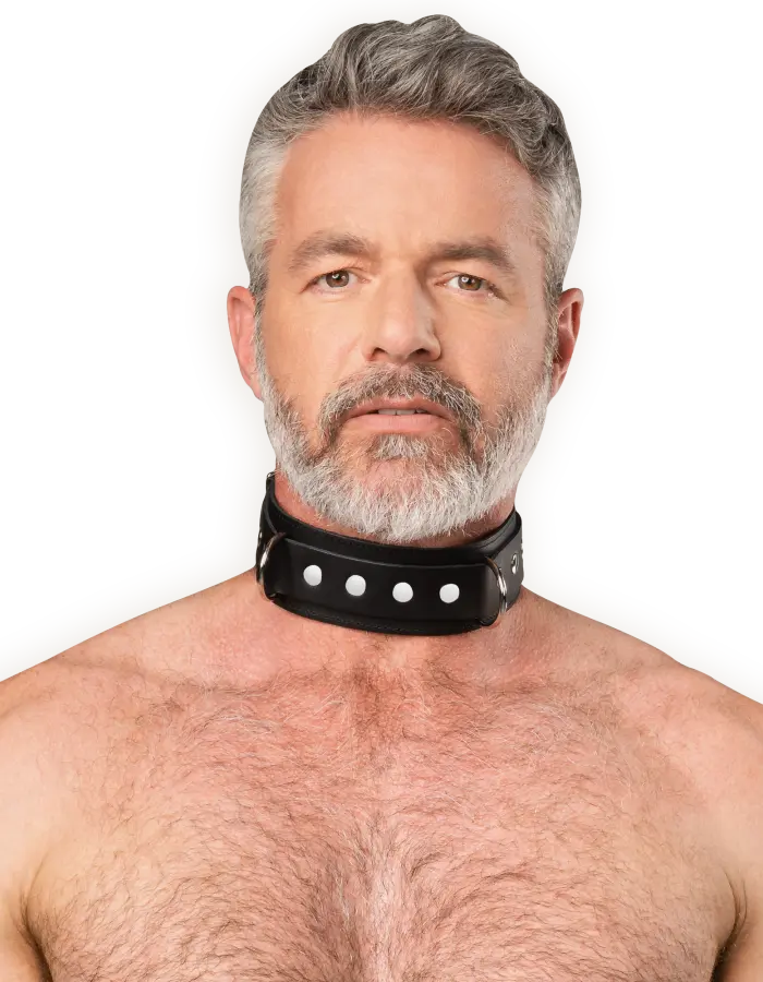 Leather Collar with Double D-Ring