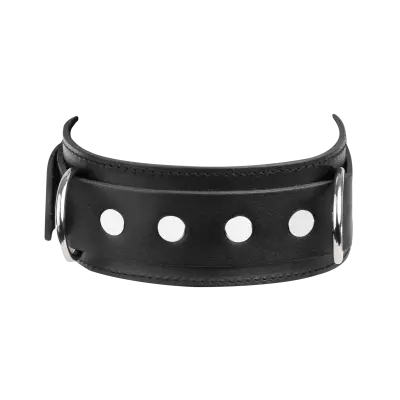 Leather Collar with Double D-Ring