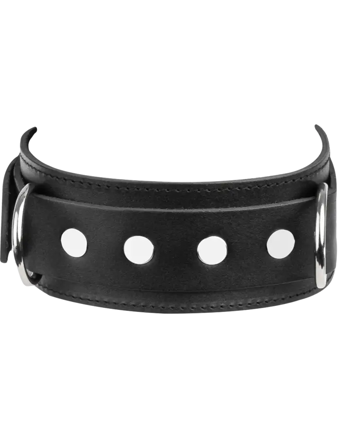 Leather Collar with Double D-Ring