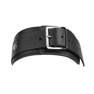 Leather Collar with Double D-Ring