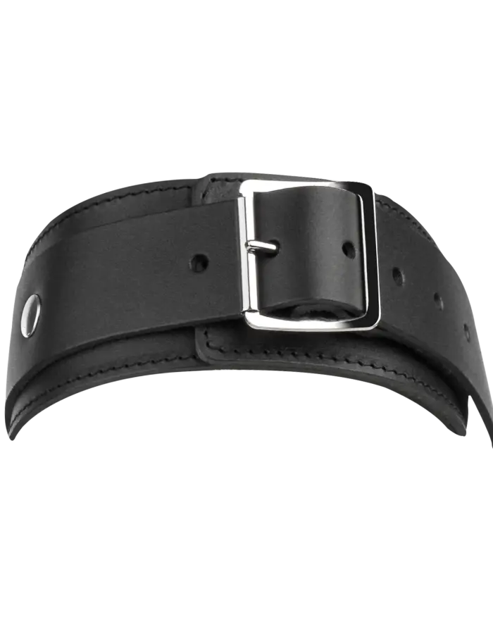 Leather Collar with Double D-Ring