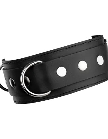 Leather Collar with Double D-Ring